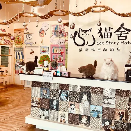 Cat Story Hotel